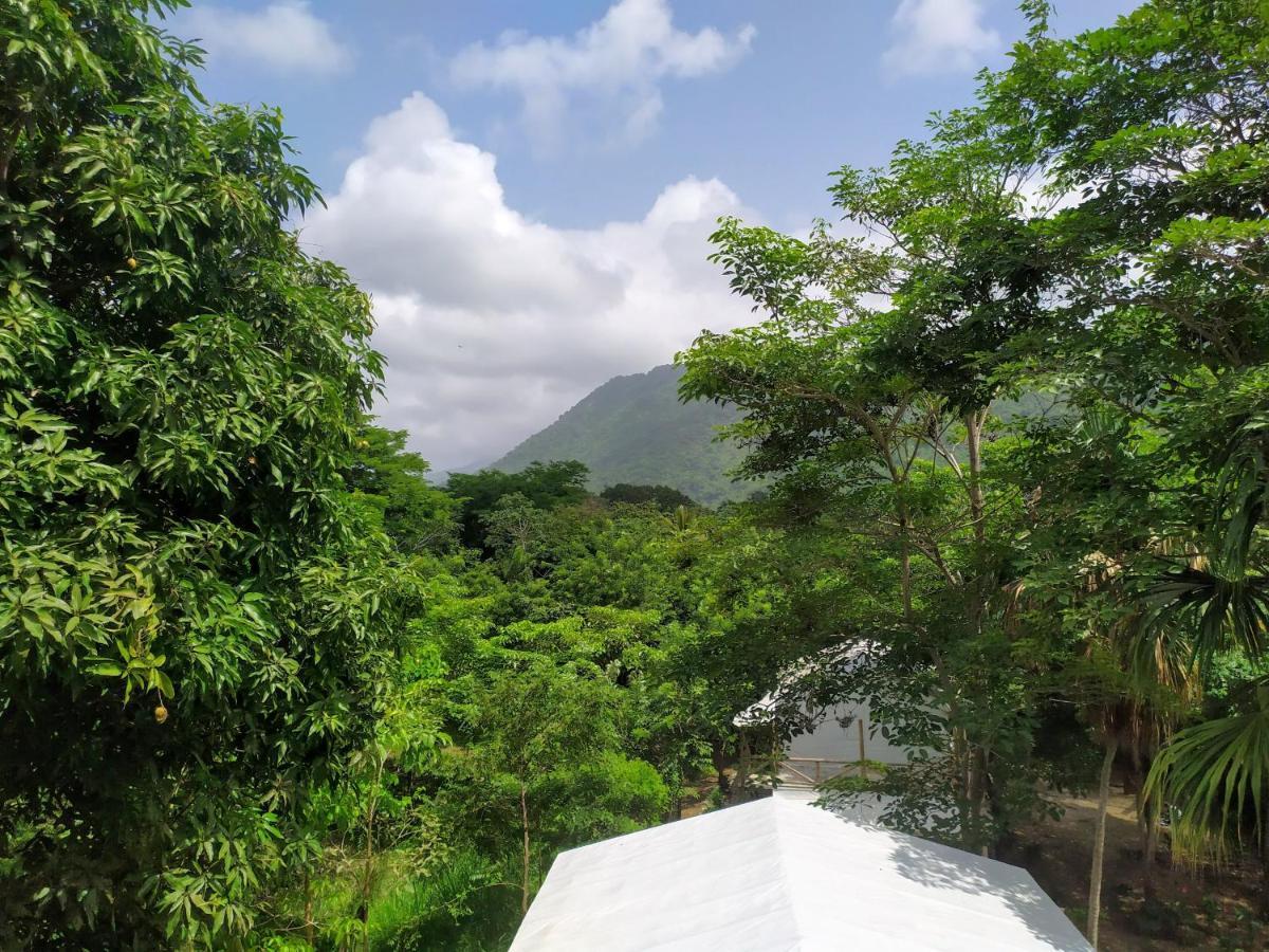 Serrano Tayrona Lodge Эль-Саино Экстерьер фото