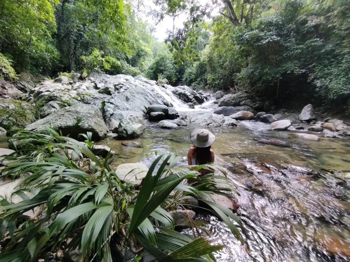 Serrano Tayrona Lodge Эль-Саино Экстерьер фото
