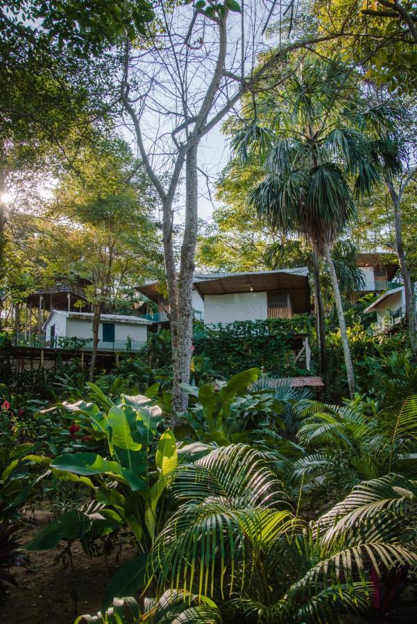 Serrano Tayrona Lodge Эль-Саино Экстерьер фото