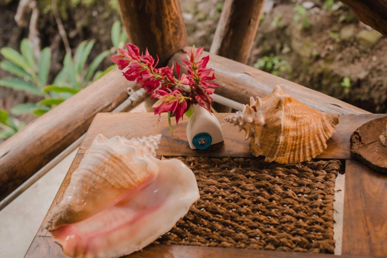 Serrano Tayrona Lodge Эль-Саино Экстерьер фото