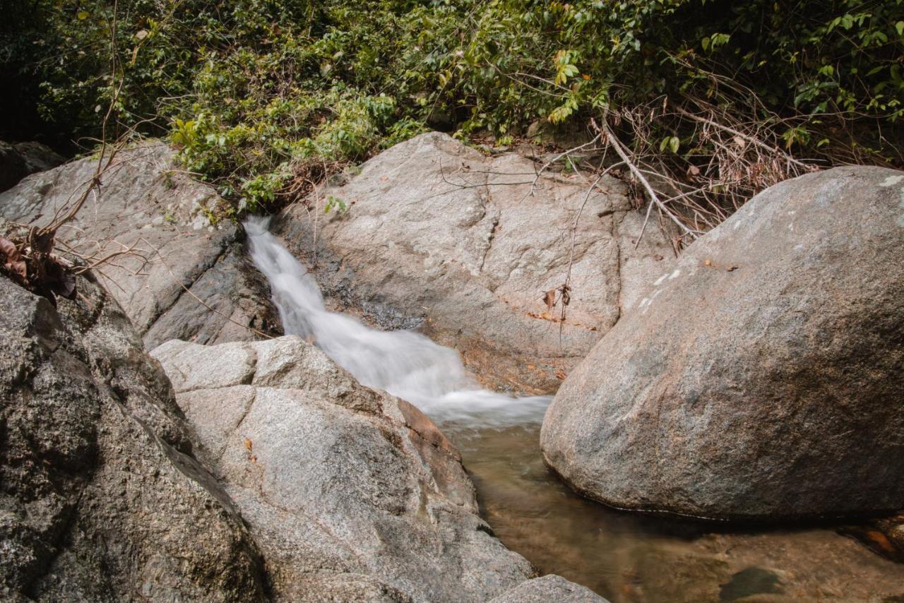 Serrano Tayrona Lodge Эль-Саино Экстерьер фото