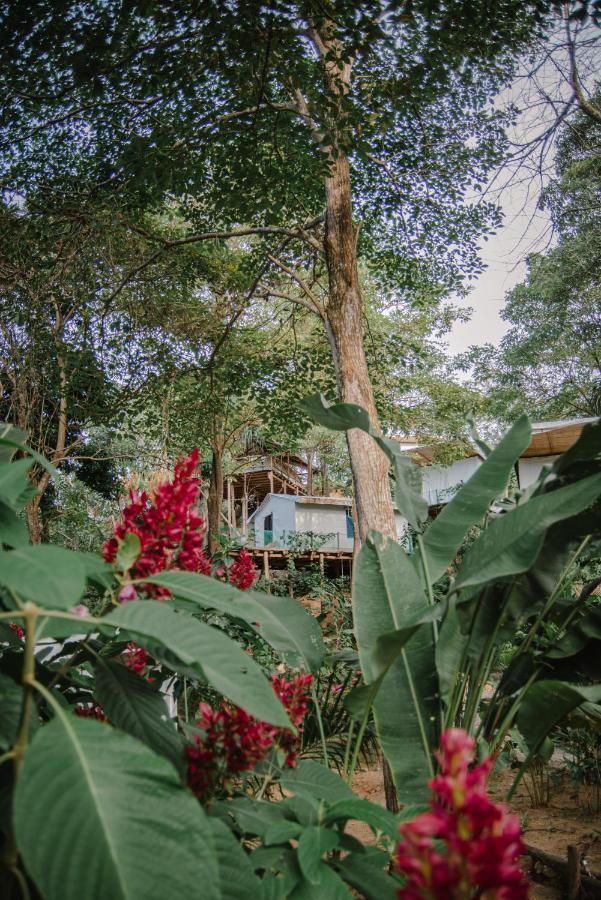 Serrano Tayrona Lodge Эль-Саино Экстерьер фото