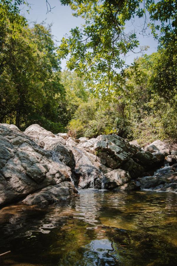 Serrano Tayrona Lodge Эль-Саино Экстерьер фото