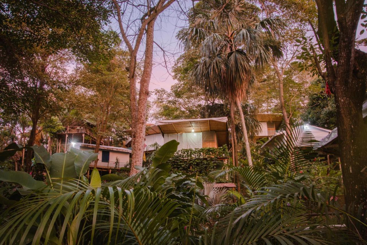 Serrano Tayrona Lodge Эль-Саино Экстерьер фото